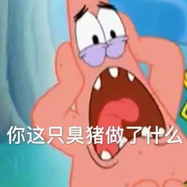 沙雕表情包动图动漫王导