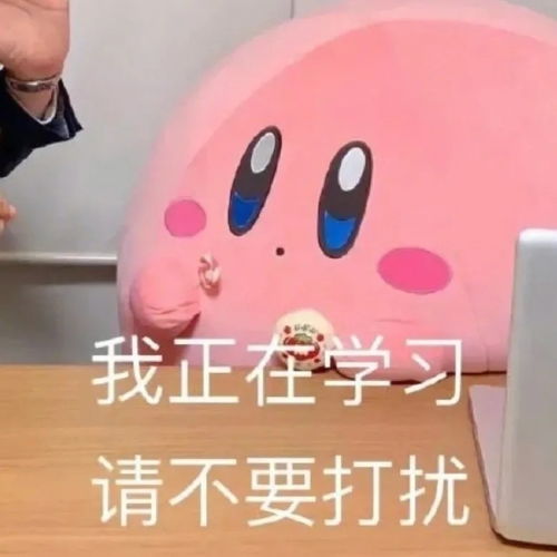 星之卡比表情包姐妹出来耍