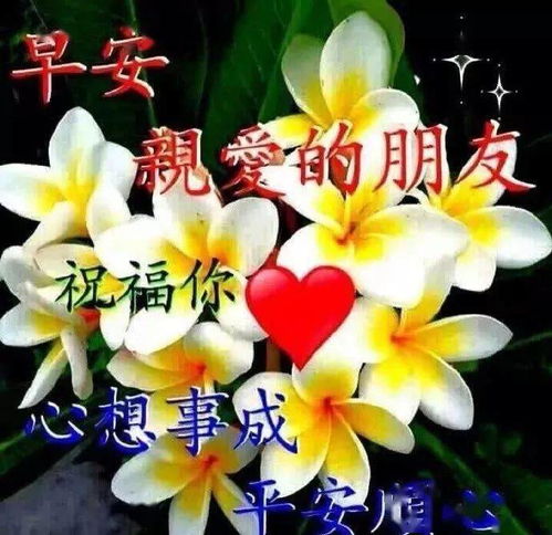 微信问候早上好的微信表情图片,群发祝福大家早上好表情图片
