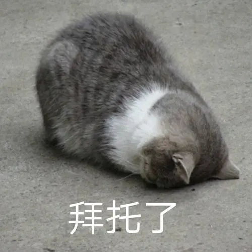 我的收藏