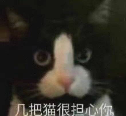 睡啥睡起来嗨表情包王女士