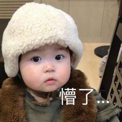 可爱罗熙表情包我生气了哄不好的那种,你是要讲道理还是要我