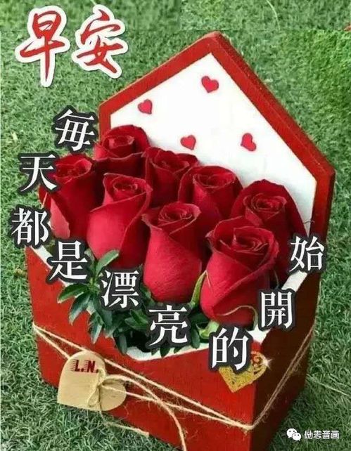5月2日最漂亮早上好动态表情图片大全,早晨好动图美图大全