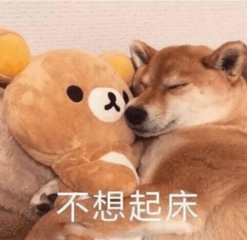降降降