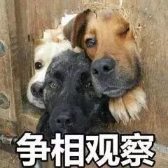 气温跌破10还有更刺激的安远接下来的天气...