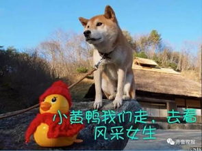 强势围观风采女生半决赛