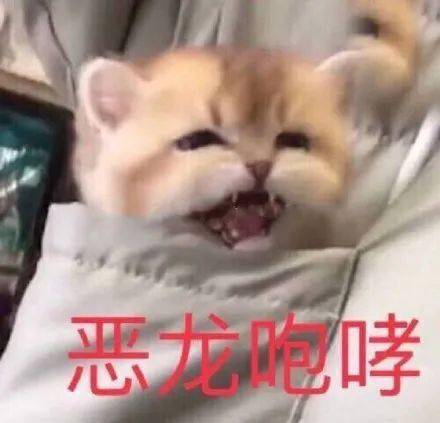当代美女图鉴这都是什么仙女下凡