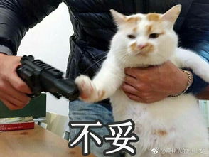 在校内遇到过哪些真实惊悚的事情