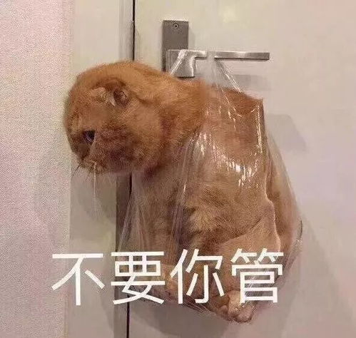 偷看了爸妈的某宝搜索记录,简直辣眼睛