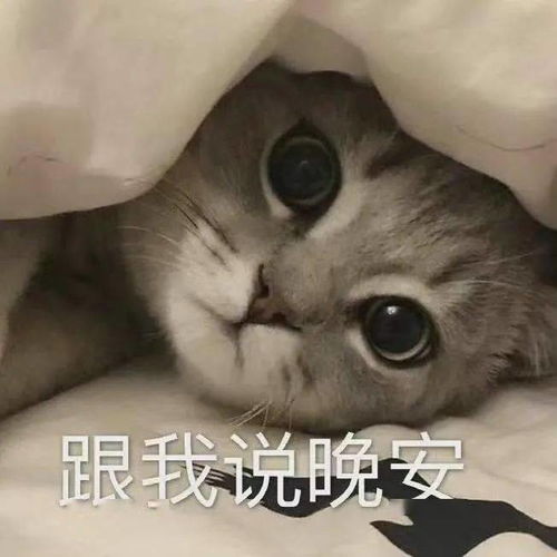 王力宏离婚的原因找到了网友无语啊啊啊辟谣说了个寂寞