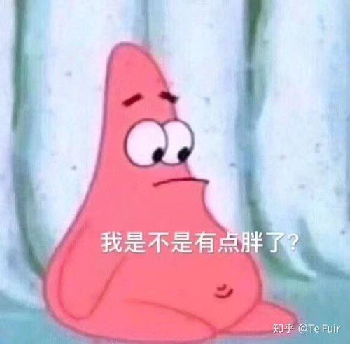叫猪起床了表情包早起