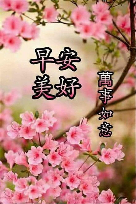 2021年3月24日星期三早上好问候祝福图片最新早安问候祝福图片合集