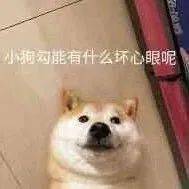沙雕表情申请加入你的被窝