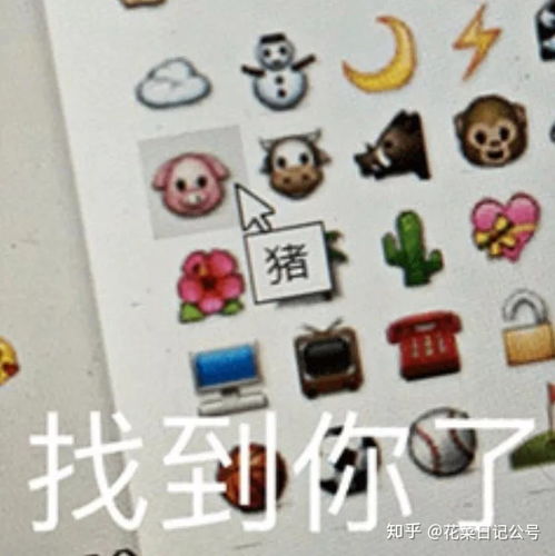 你还这样选基金大v和某付宝不会告诉你的选基技巧
