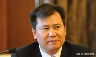 与阿里联盟,和京东抗衡,又收购米兰俱乐部,竟是你低估的它