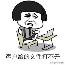 只有财会人看得懂的表情包,审计人也被打动了