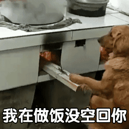 好笑吗一天到晚哈哈哈哈哈丨第207期猫咪表情包
