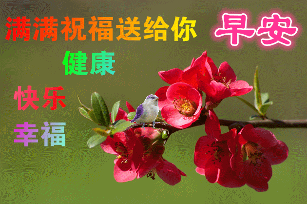 2021年11月23日上午好祝福语动态表情图片,温馨的问候语图片