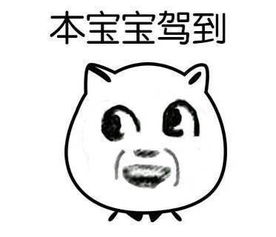 宝贝表情包原图西游记