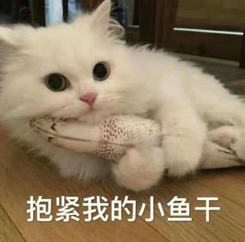 问贵州那边女孩子名字会有什么后果