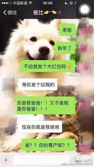 网友晒与爸妈的聊天截图,笑到没眼泪
