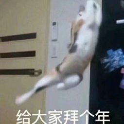 除夕拜年聊天群里一定要有的新年表情包全都在这里戳这里码住收藏