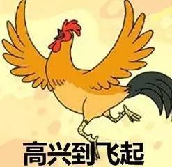 聊天必备表情包鸡年