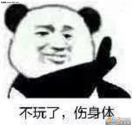 人在做猫在看表情包不玩了伤身体表情包图片下载乐游网游戏下载