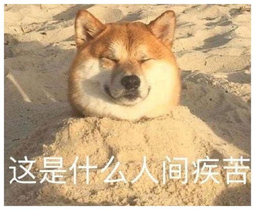 我要出去玩了的表情包搞笑gif