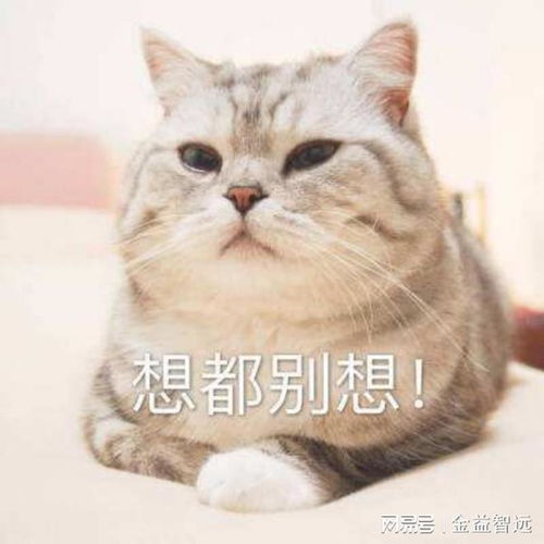 金益智远几百块的投影机能用吗你在开什么国际玩笑