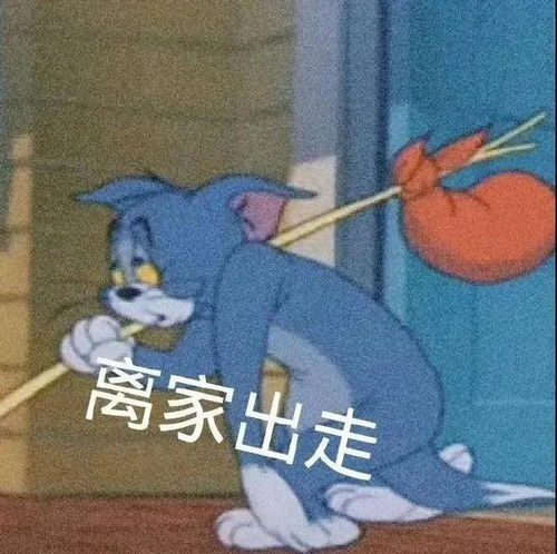 聊天表情包分享