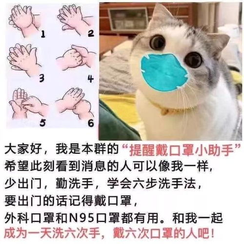2020最新热门表情包我想出去玩,不,你不想,你没有口罩