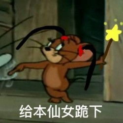 靠的表情包猫和老鼠