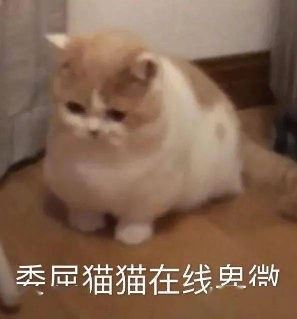 一波爆赞的壁纸头像表情包,biu