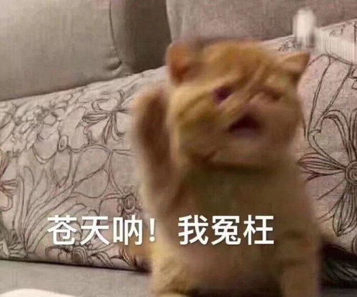 可爱表情包图片能放我一条生路吗