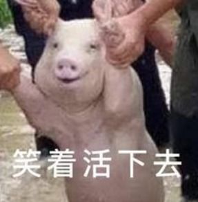 救命表情包图片猪肾