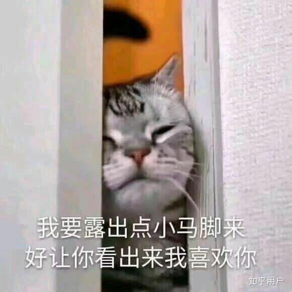 有哪些适用于和女生聊天开场白的表情包