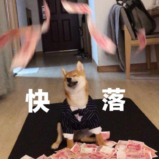 狗蹦迪表情包