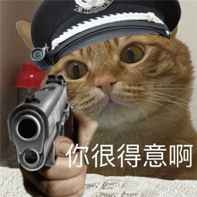 小猫咪警察搞笑表情包大全不要靠近直接会坐牢