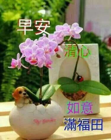 早上好表情包 风景早安