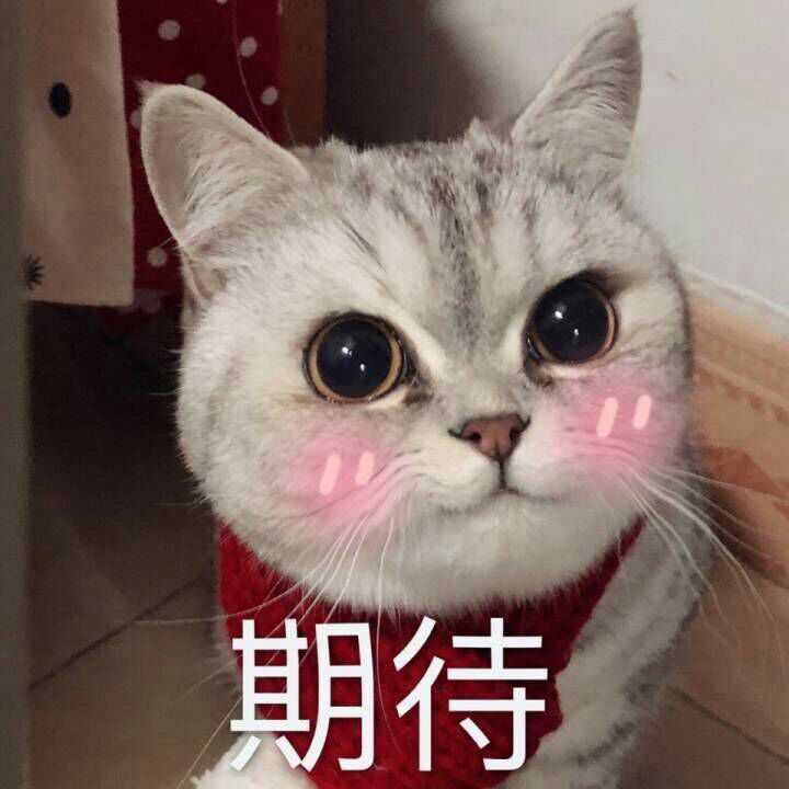 star的想法有哪些可以哄女朋友的表情包