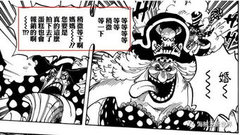 海贼王881专题海贼美好结局的cp,路飞表情表明内心的体贴和强韧
