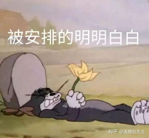 那些很骚的表情包是在哪里找到的
