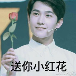 杨洋表情包