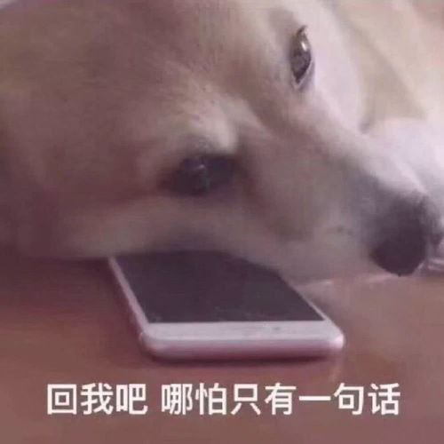 爱情没了新鲜感,会很危险,这谁都明白,但你知道怎么解决吗