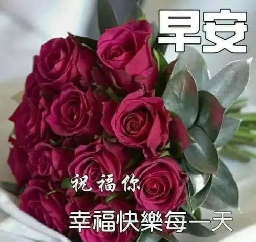 朋友圈最新版很暖心早安温暖问候短信句子,很美的早安问候语短信