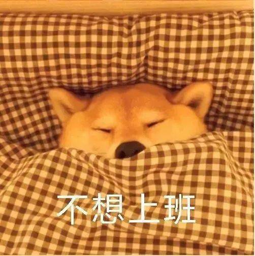 宁海2021年第一场雪来啦随之而来的,是两道预警