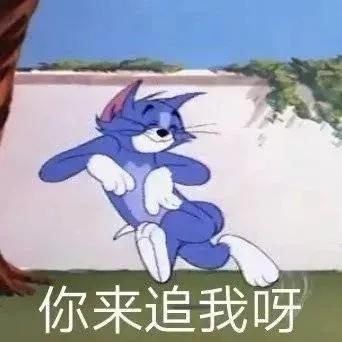 猫和老鼠表情包,真是服了你这个老六