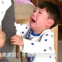 叮咚,十二星座开学表情包已上线,开学后的十二星座,内心戏超强