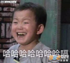 裹紧我的小被子表情包图片好了你不要再说了小黄鸭表情包下载乐游网游戏下载